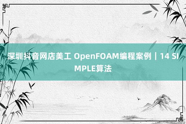 深圳抖音网店美工 OpenFOAM编程案例｜14 SIMPLE算法