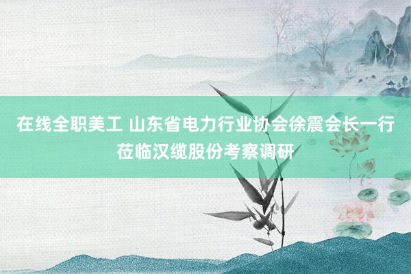 在线全职美工 山东省电力行业协会徐震会长一行莅临汉缆股份考察调研